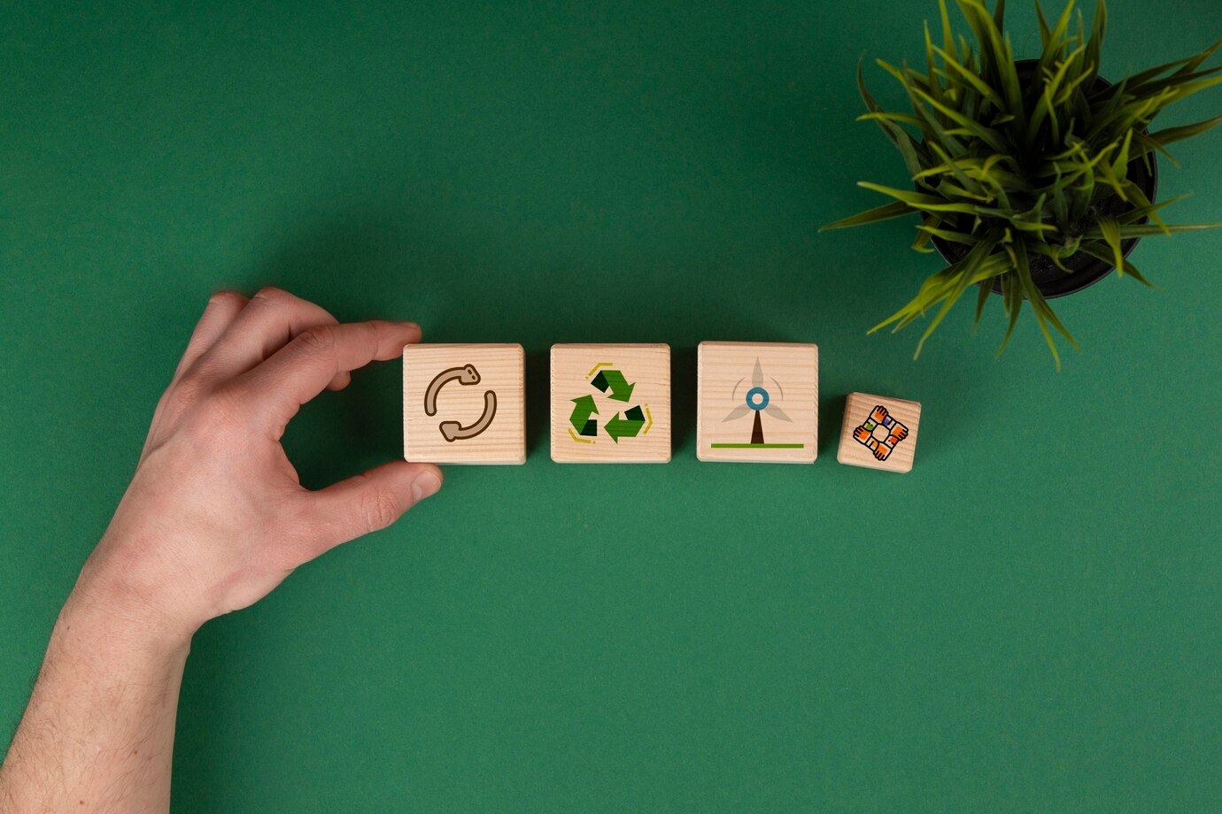 Sustainability Focus